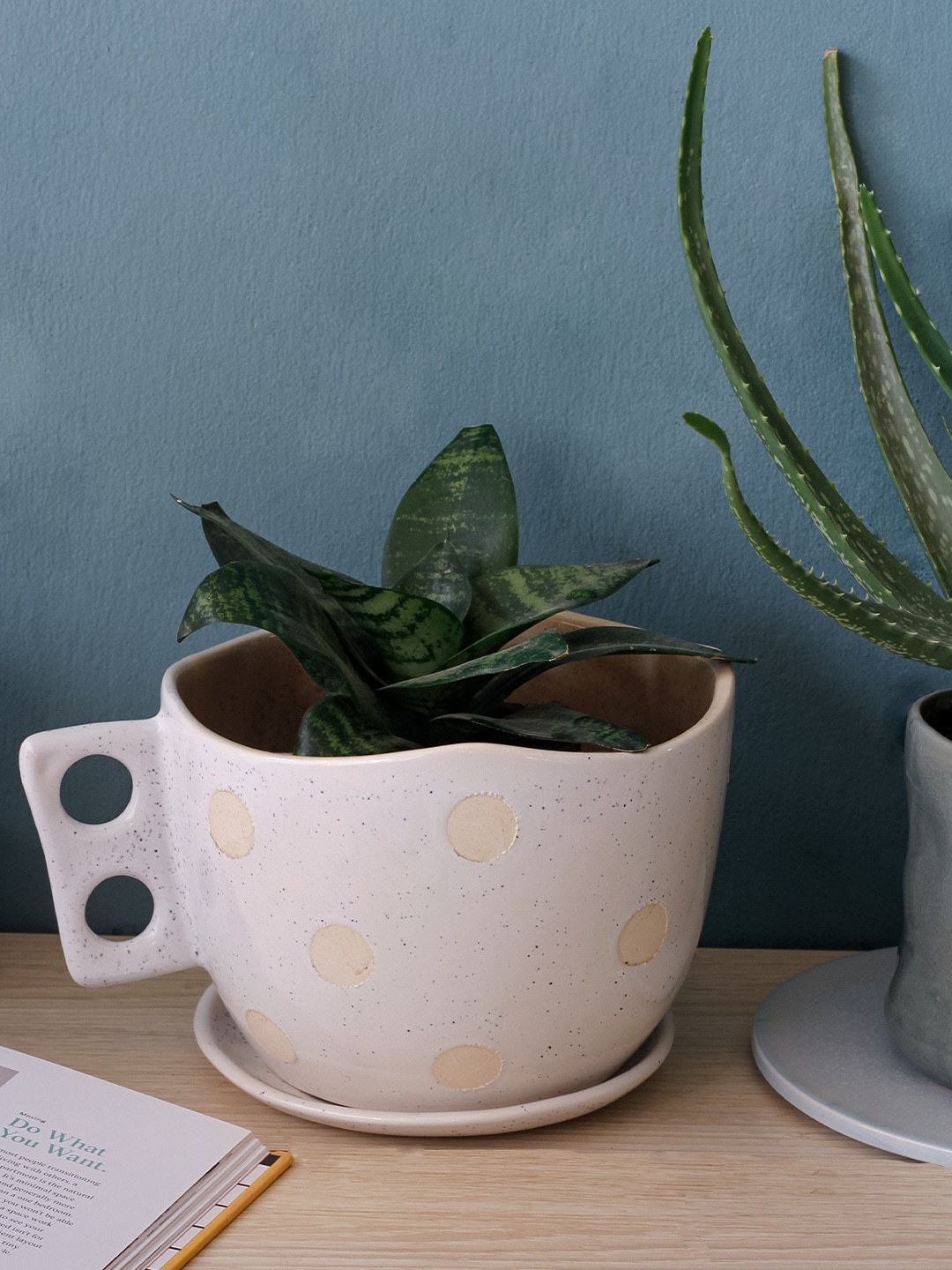 

The Wishing Chair Off White Madhatter Polka Dot Teacup Planter