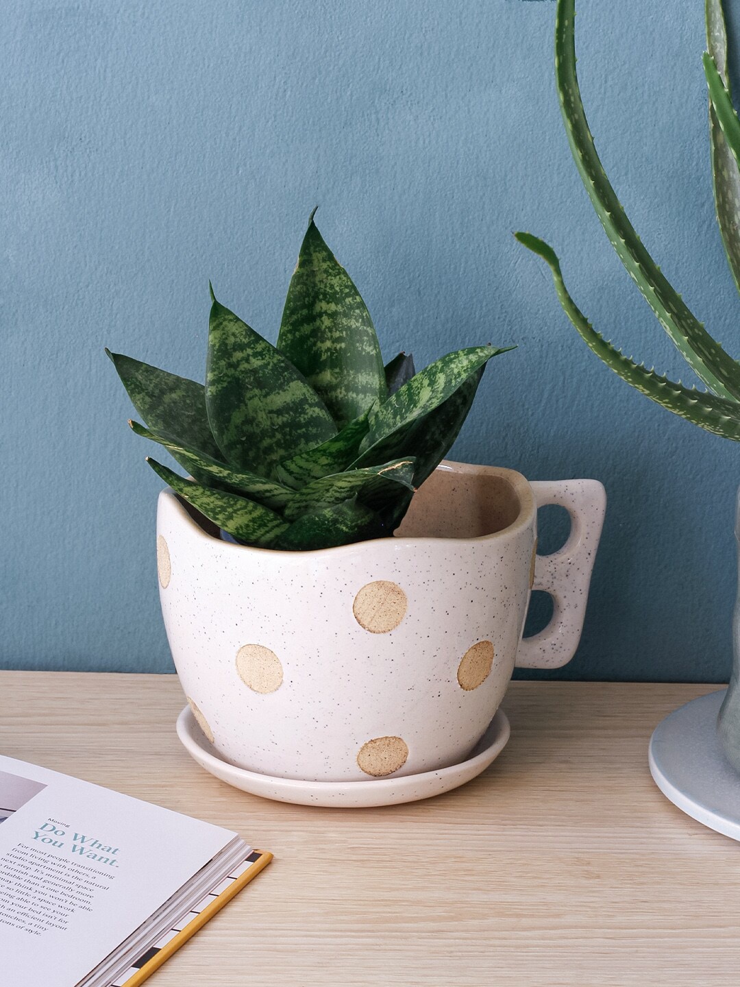 

The Wishing Chair Off White & Beige Polka Dot Printed Ceramic Planters