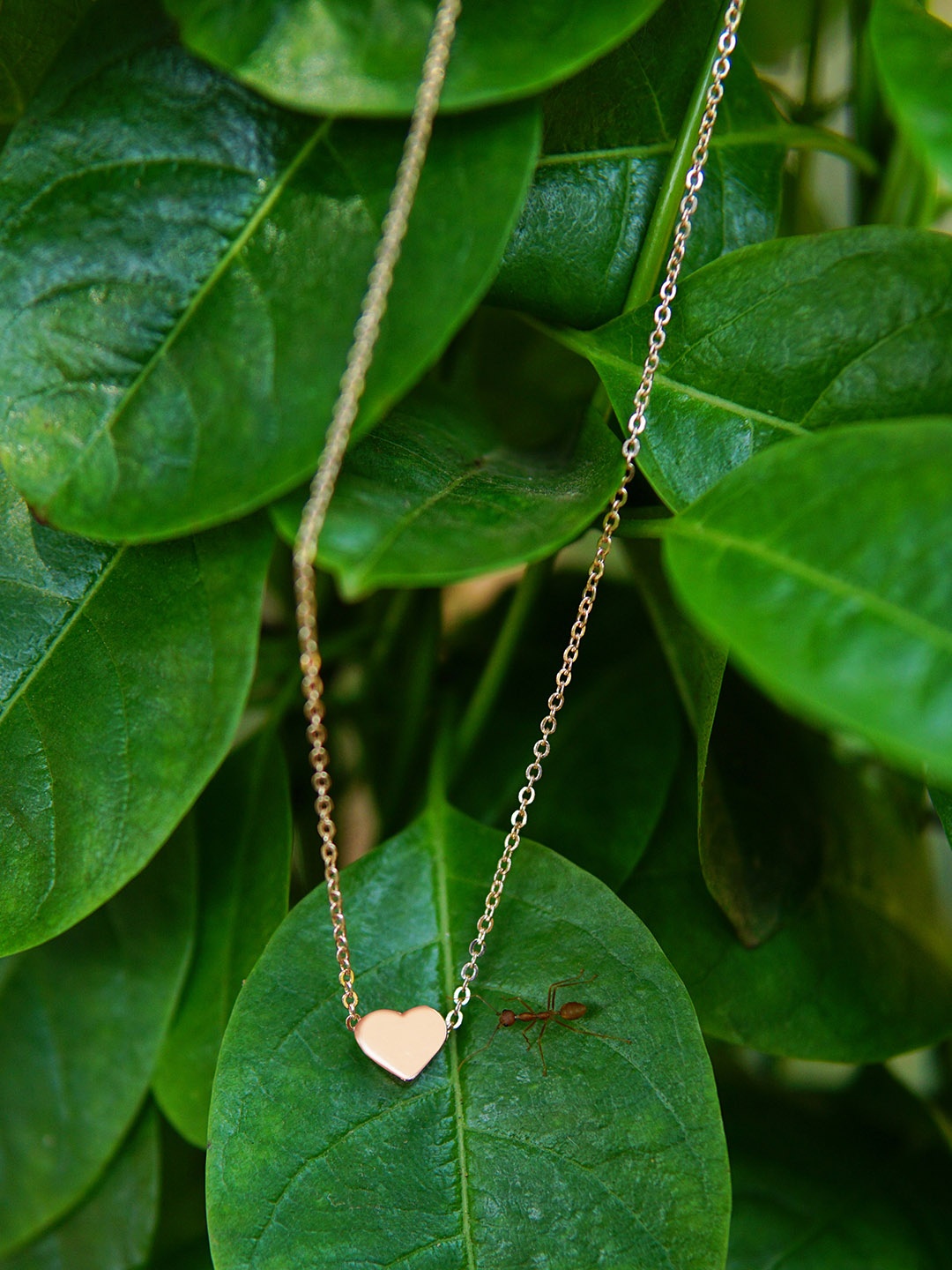 

Ayesha Gold-Plated Mini Heart Pendant Necklace