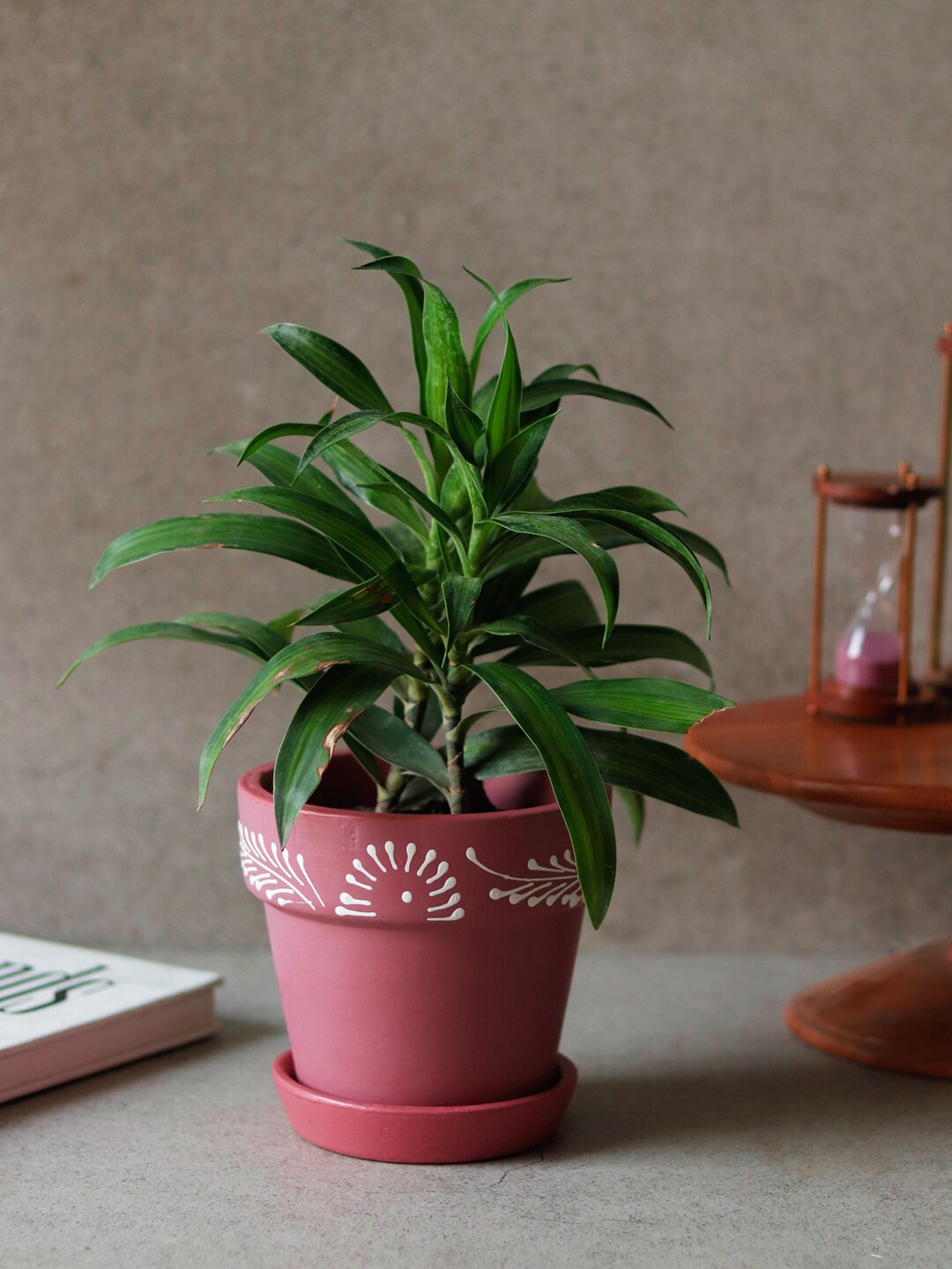 

Unravel India Pink Handpainted Planter Pot With Terracotta Tray