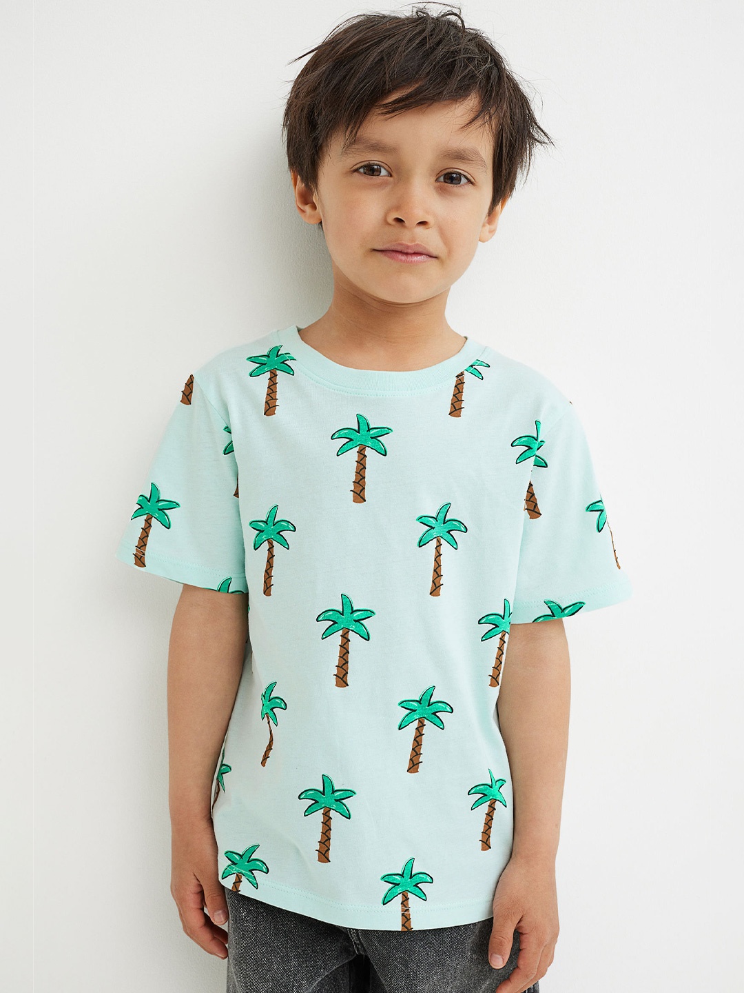 

H&M Boys Turquoise Blue & Brown Round Neck Cotton Printed T-shirt