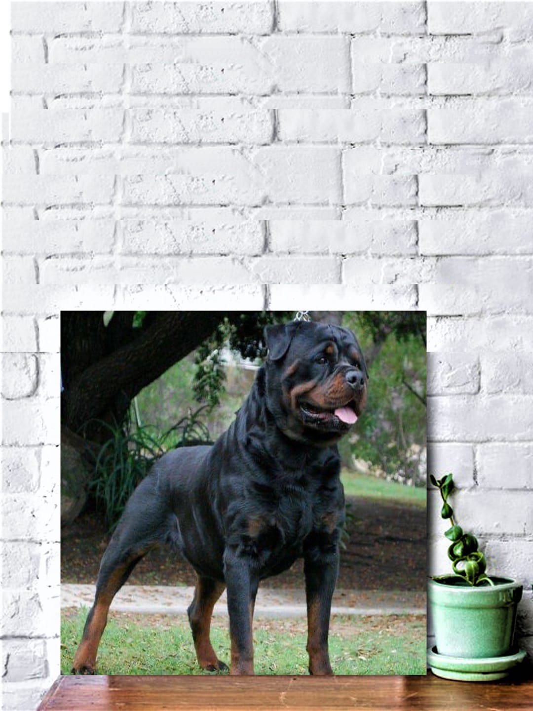 

Gallery99 Black Barking Dog Textured Wood Wall Decor