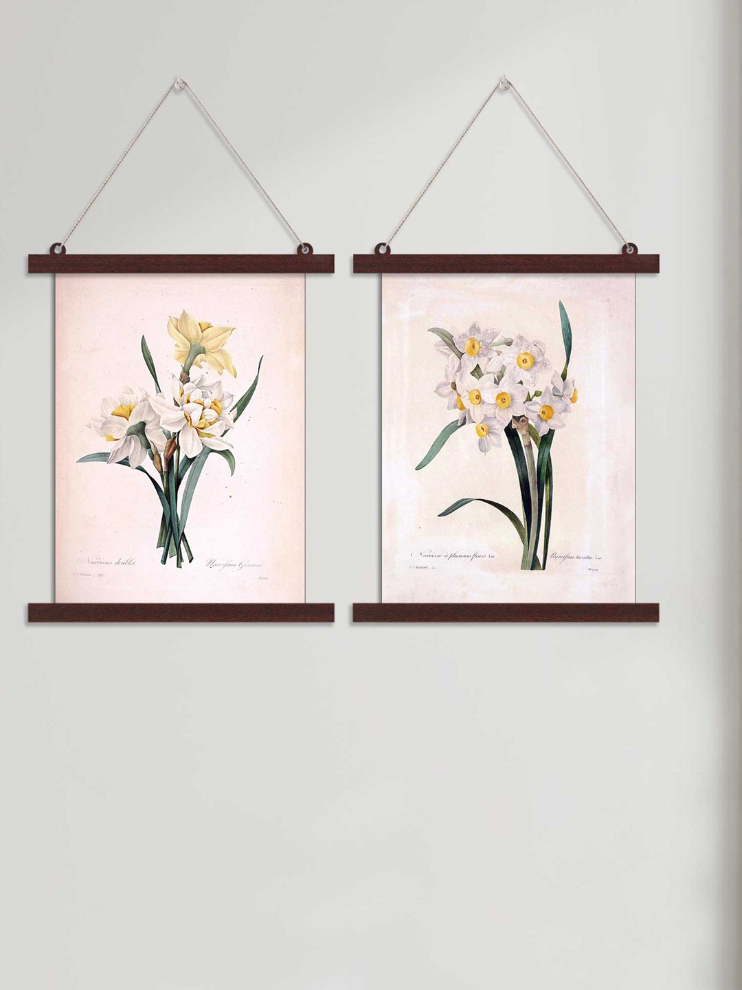 

Art Street Multi Set Of 2 Floral Hanging Wall Art