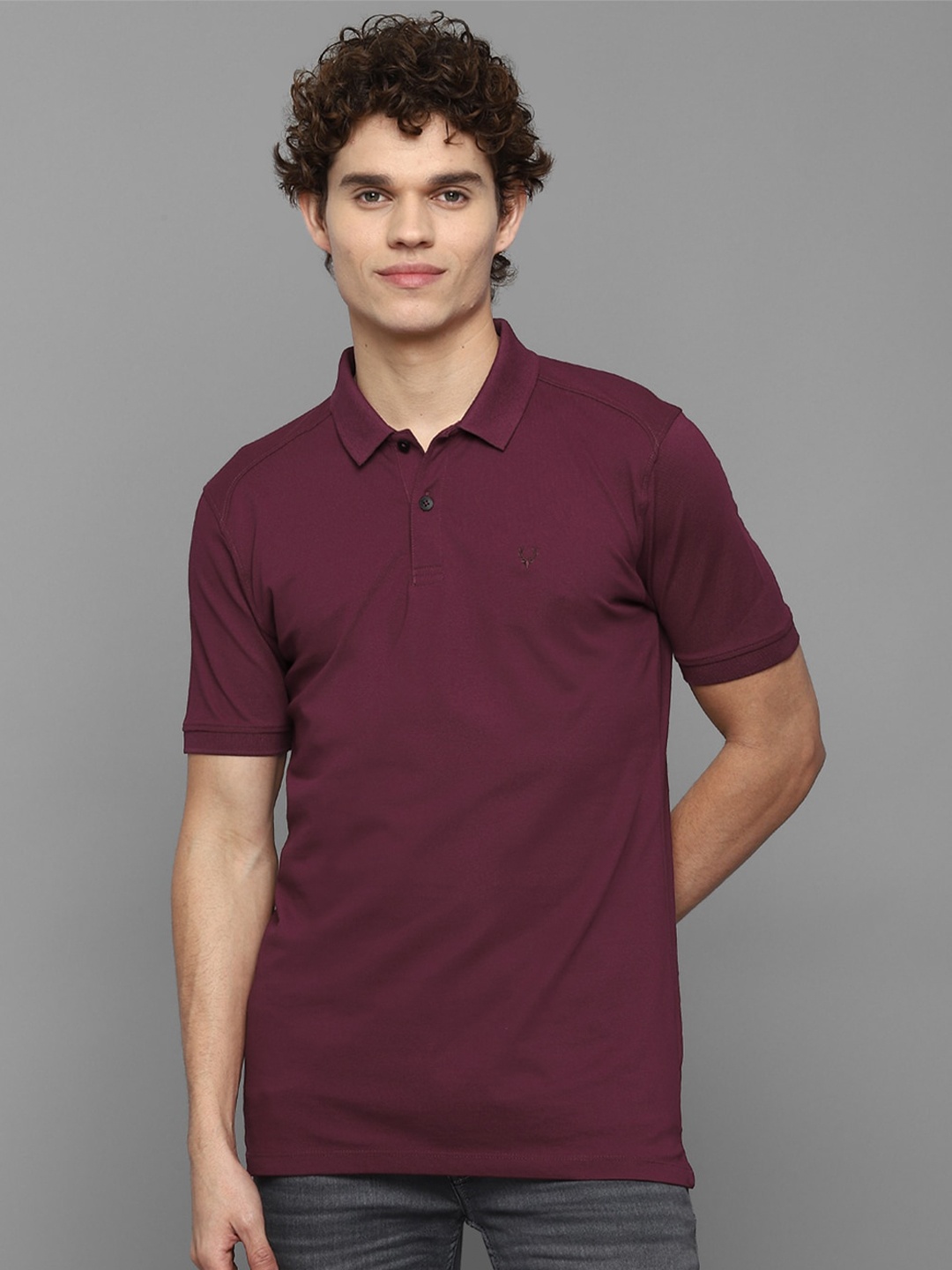 

Allen Solly Men Maroon Polo Collar Applique T-shirt