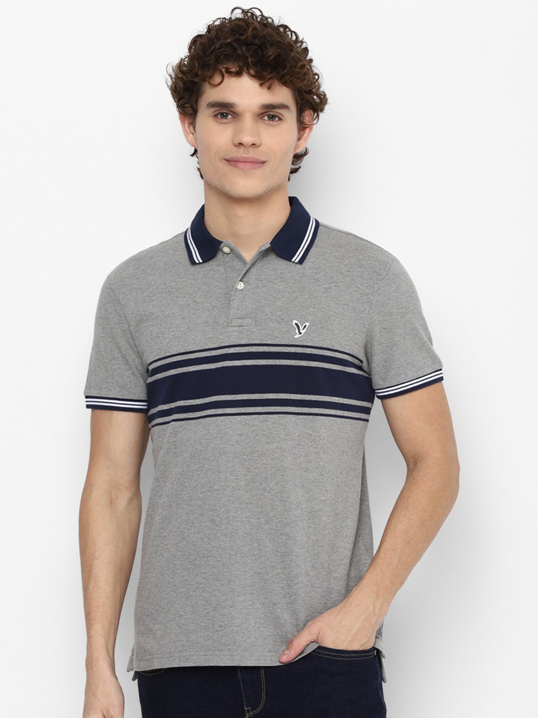 

AMERICAN EAGLE OUTFITTERS Men Grey Striped Polo Collar Applique T-shirt