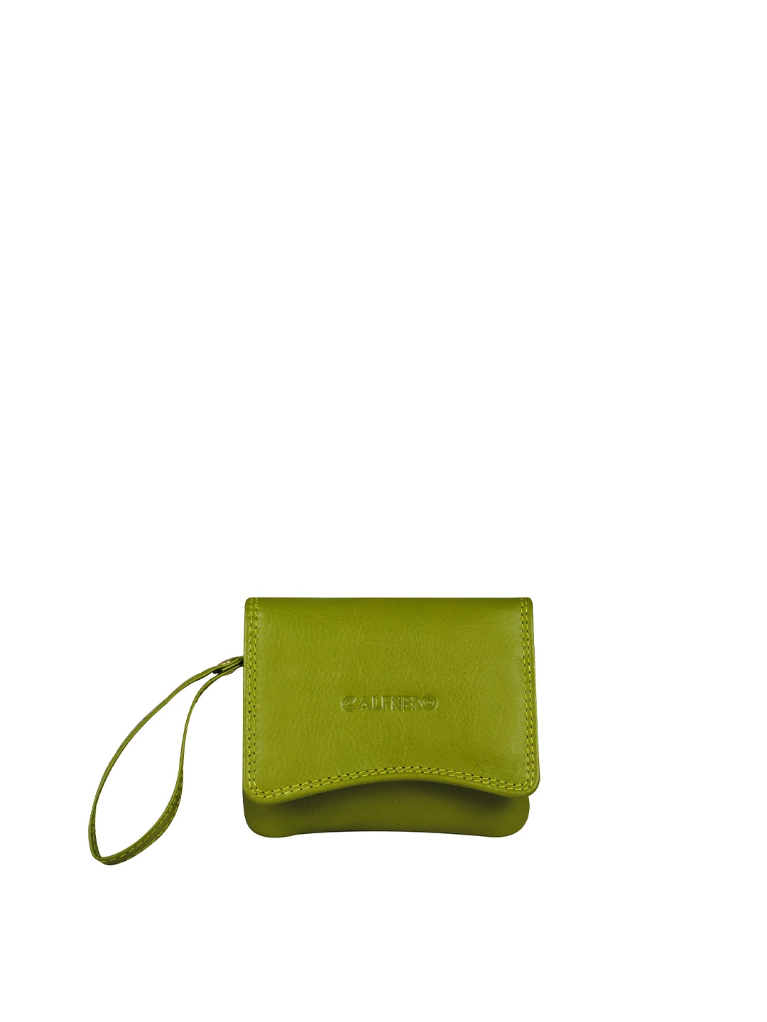 

CALFNERO Women Green Textured Leather Two Fold Wallet