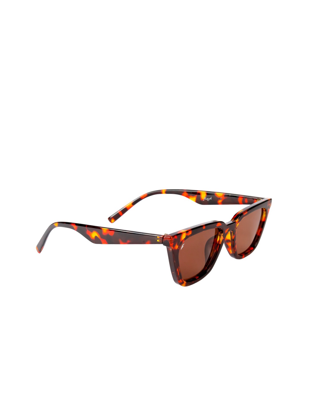 

Floyd Unisex Brown Lens & Brown Cateye Sunglasses with UV Protected Lens