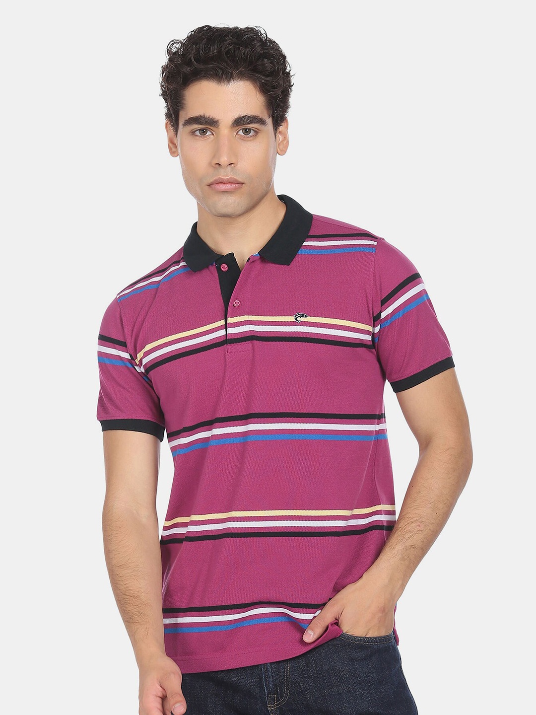 

Ruggers Men Purple & Black Striped Polo Collar T-shirt