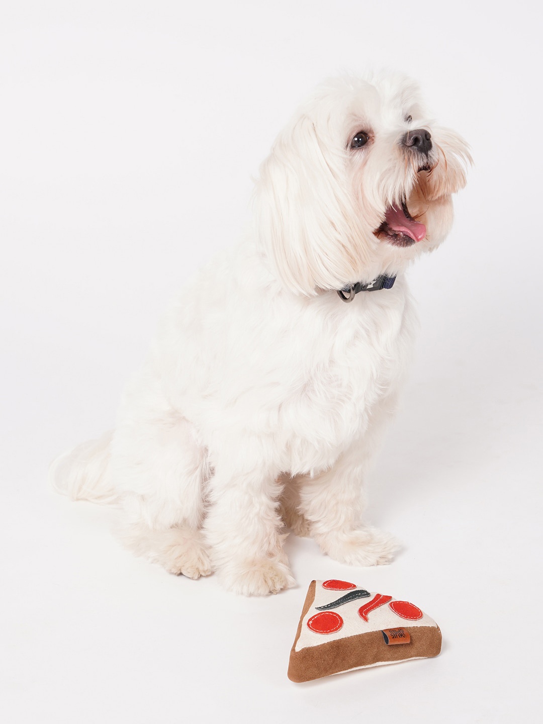 

thepawpstarco Red The Pizza Jute Pet Toy