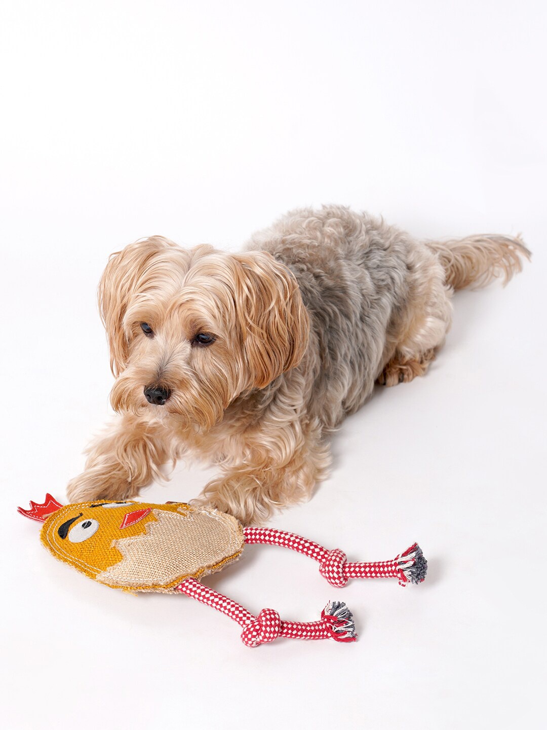 

thepawpstarco Yellow The Humpty Dumpty Jute Toy