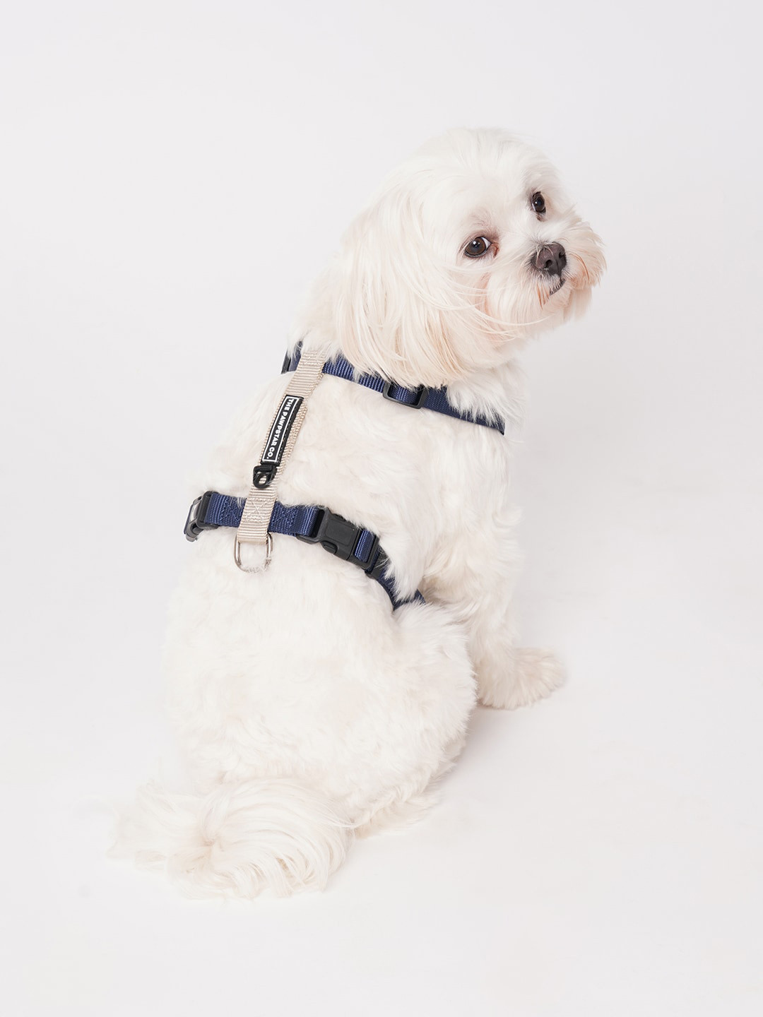 

thepawpstarco Navy Blue & Beige Solid Nylon Pet Harnesses
