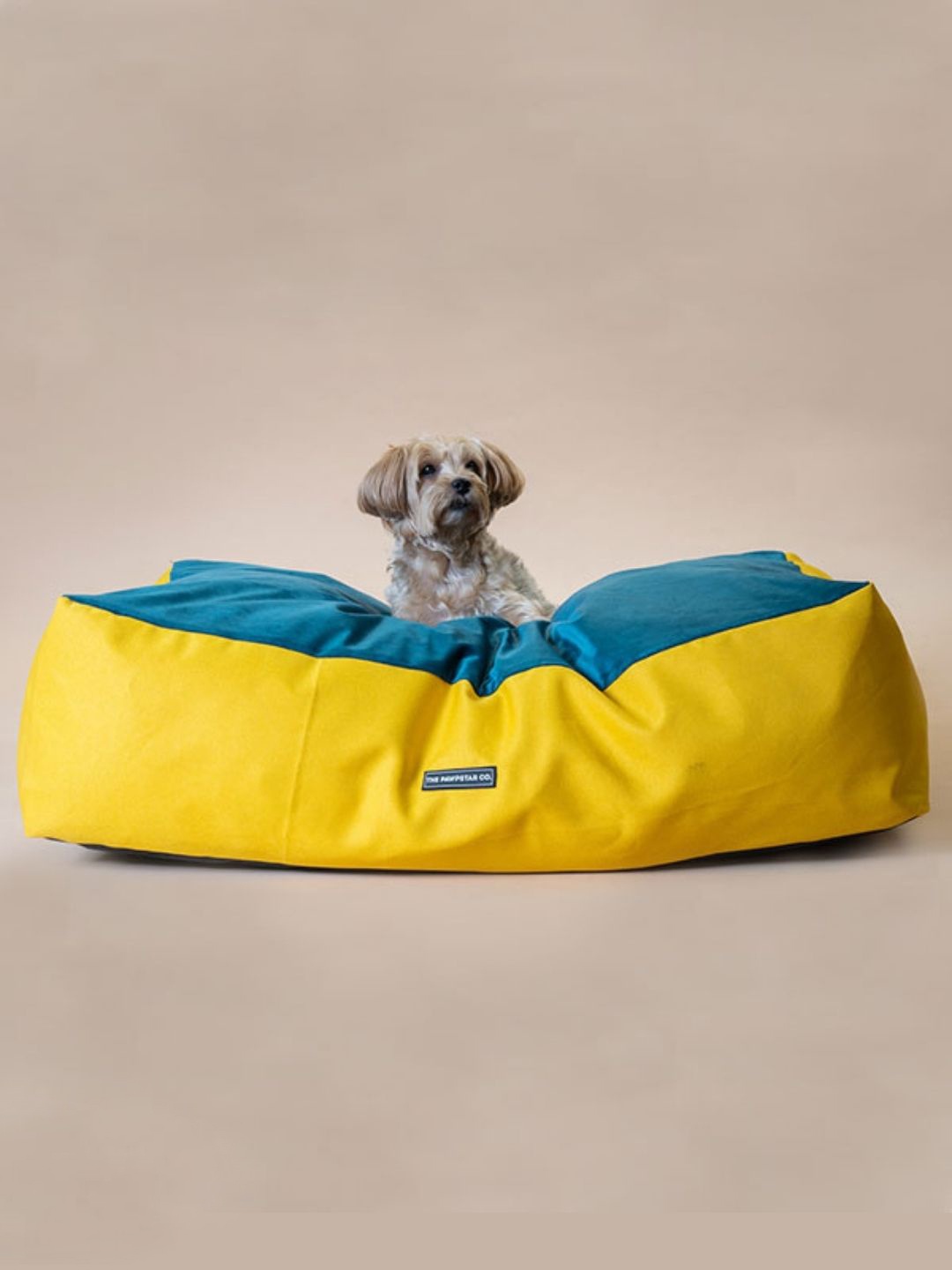 

thepawpstarco Blue & Yellow Solid Anti-Slip Pet Beds