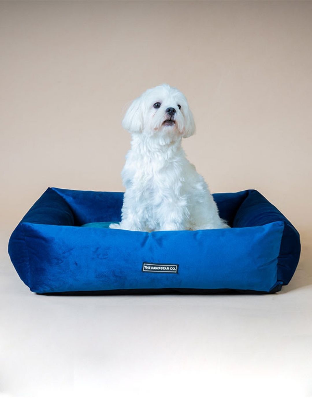 

thepawpstarco Blue Solid Pure Cotton Marine Lounger Bed Pet Bed