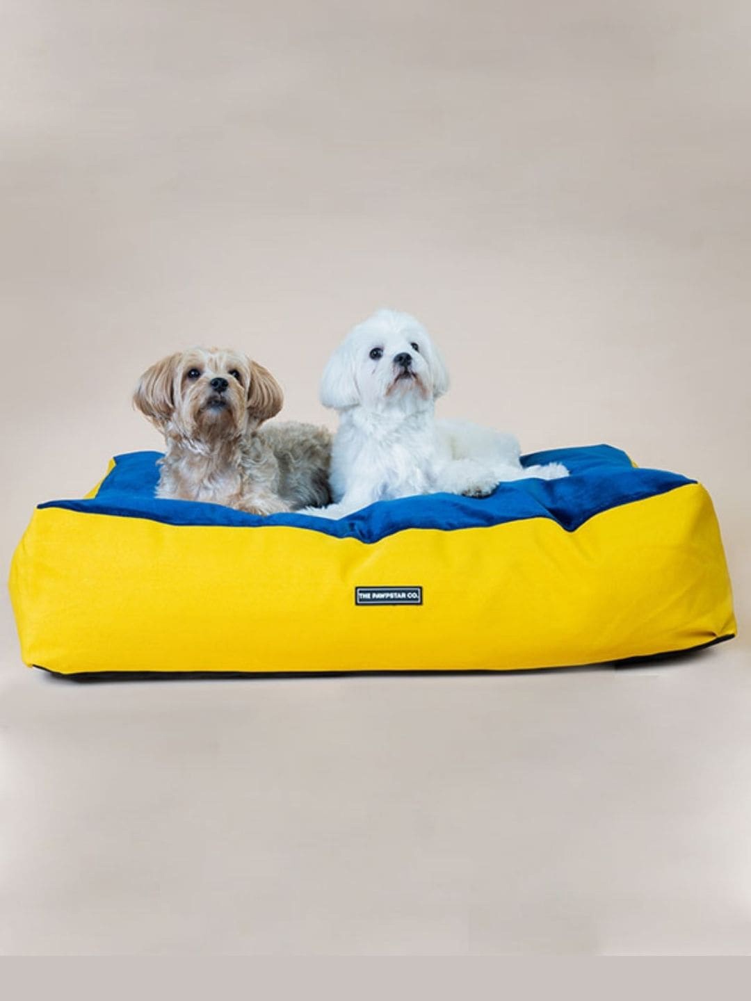 

Thepawpstarco Sea Green & Yellow Pet Lounger Bed