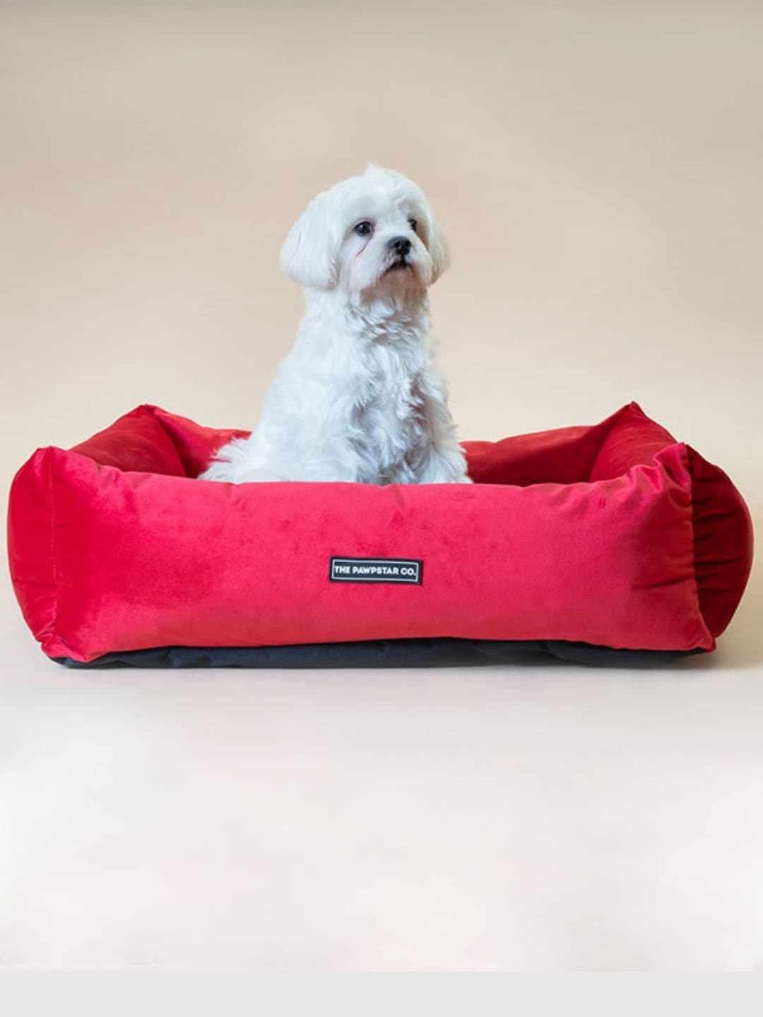 

thepawpstarco Kids Red & Black Solid Cotton Pet Beds