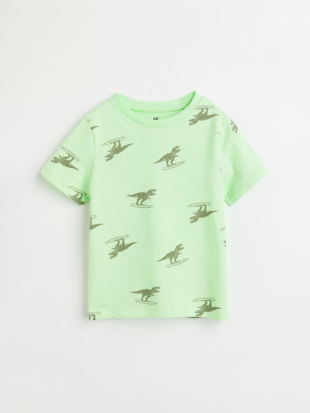 

H&M Boys Green Cotton T-shirt
