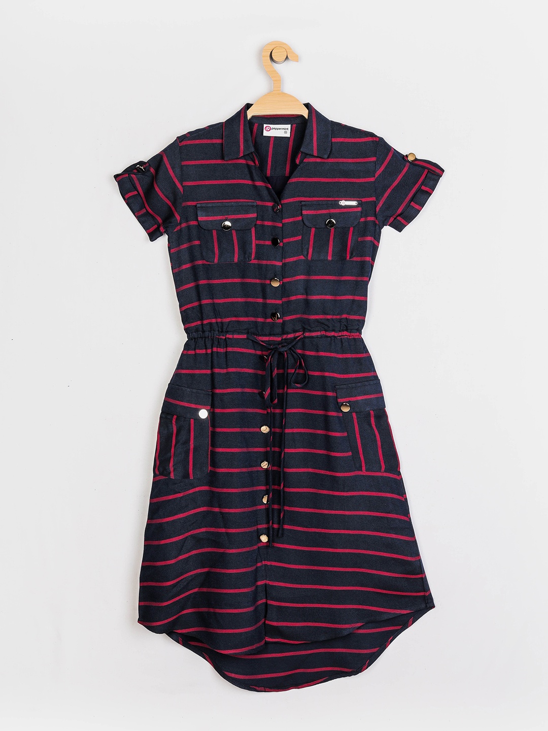 

Peppermint Navy Blue Striped Shirt Dress