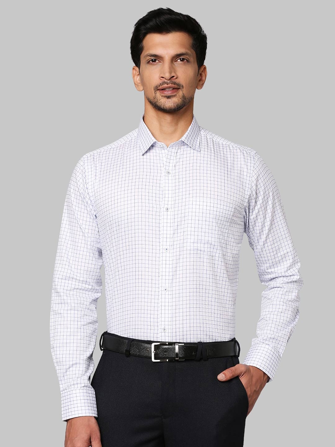 

Park Avenue Men Blue Slim Fit Checked Formal Shirt
