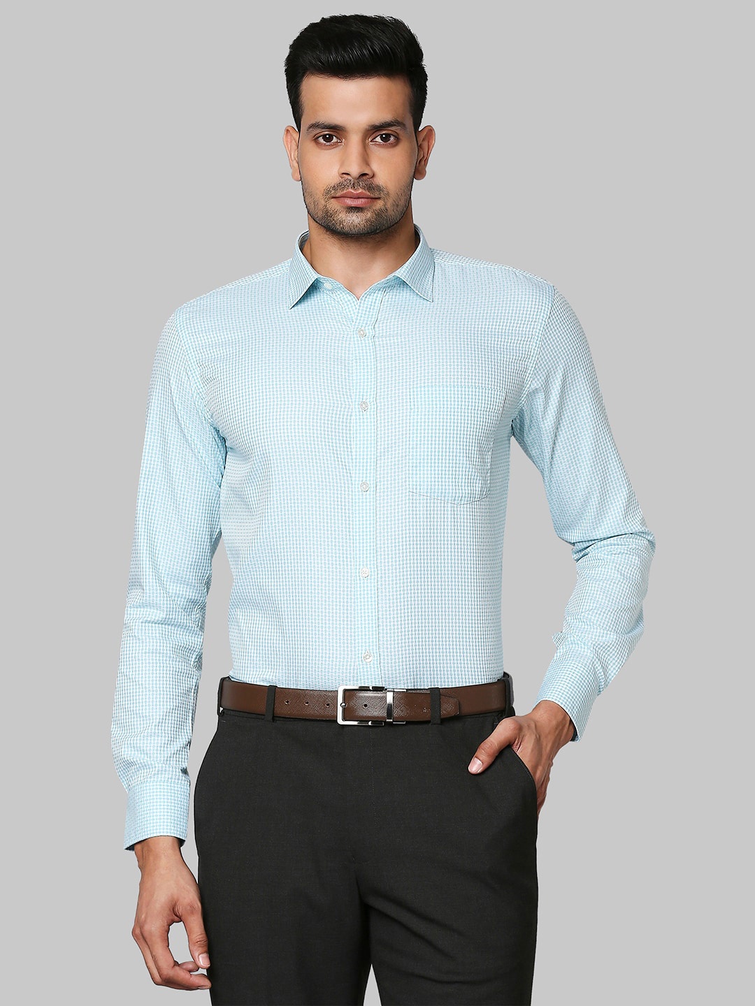 

Park Avenue Men Green Slim Fit Formal Shirt
