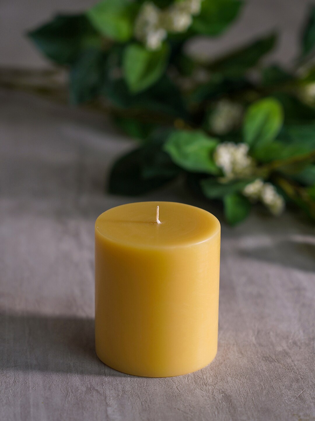 

Pure Home and Living Set Of 2 Beige Solid Sand Shell Candles