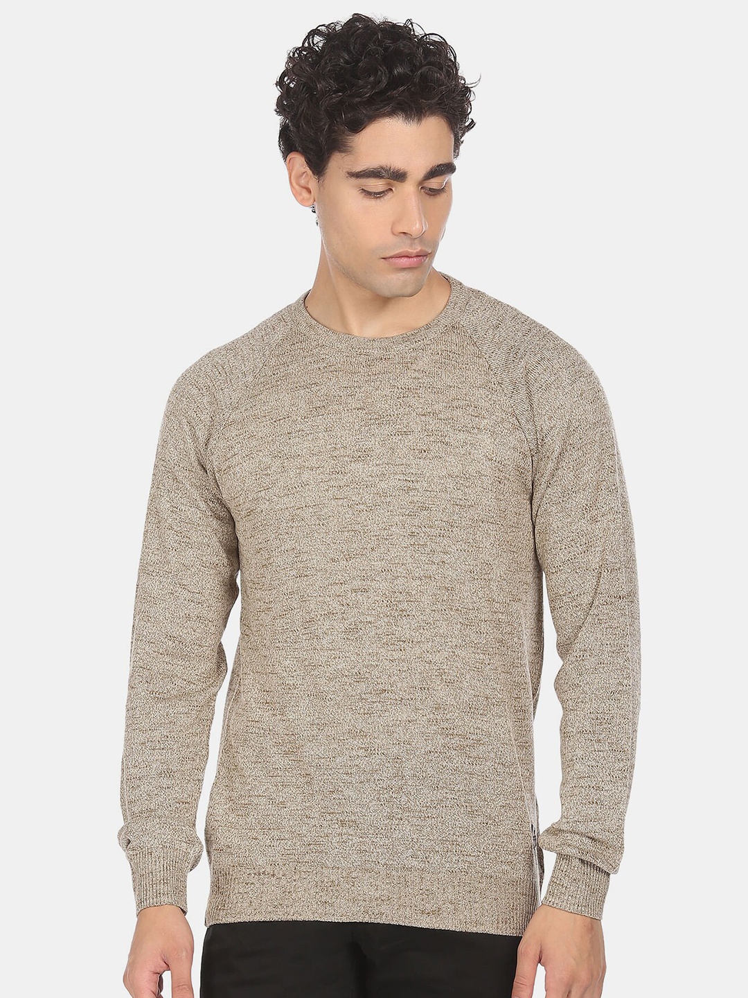 

Ruggers Men Brown Pullover