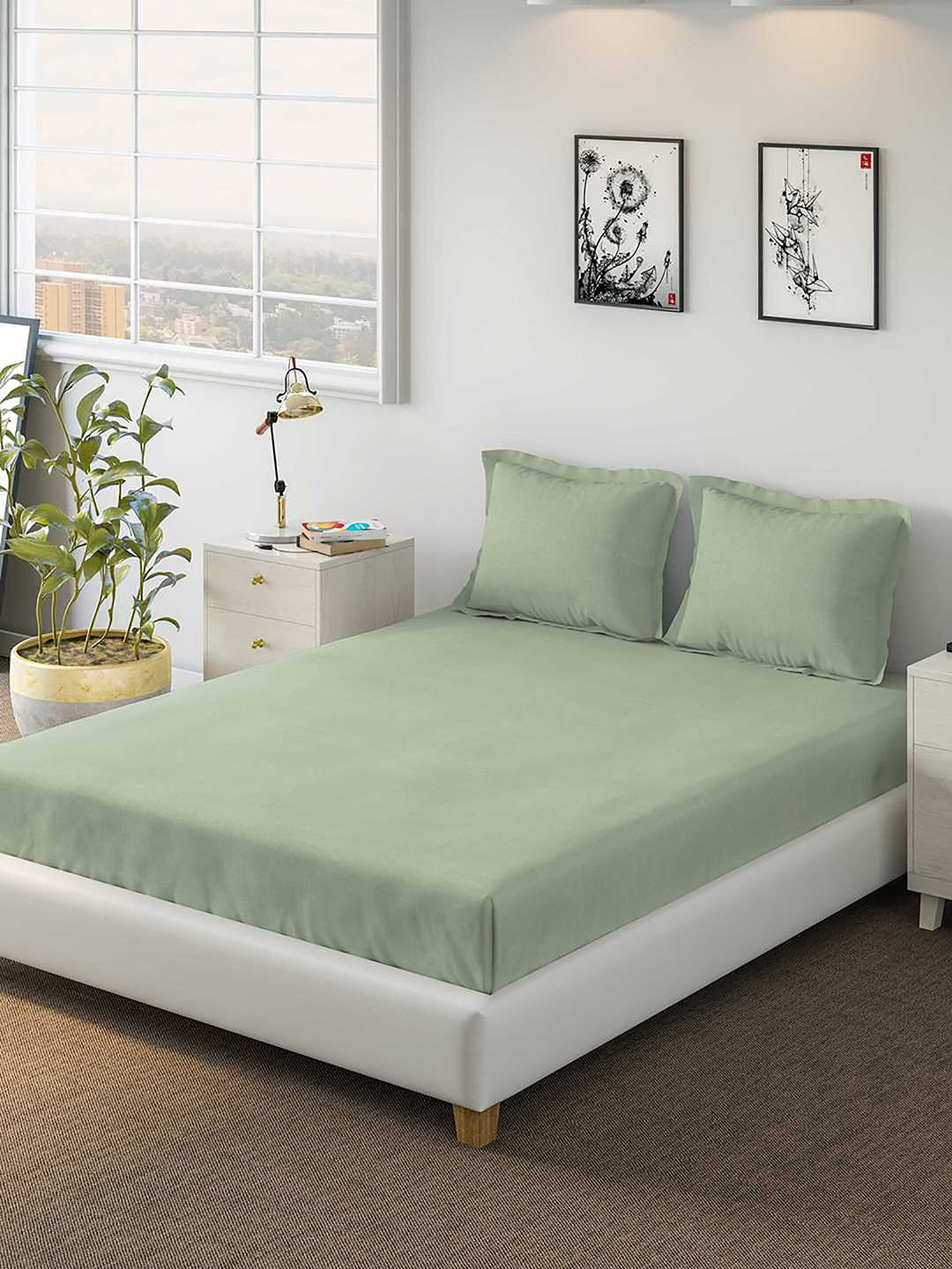 

DDecor Green 150 TC Queen Bedsheet with 2 Pillow Covers