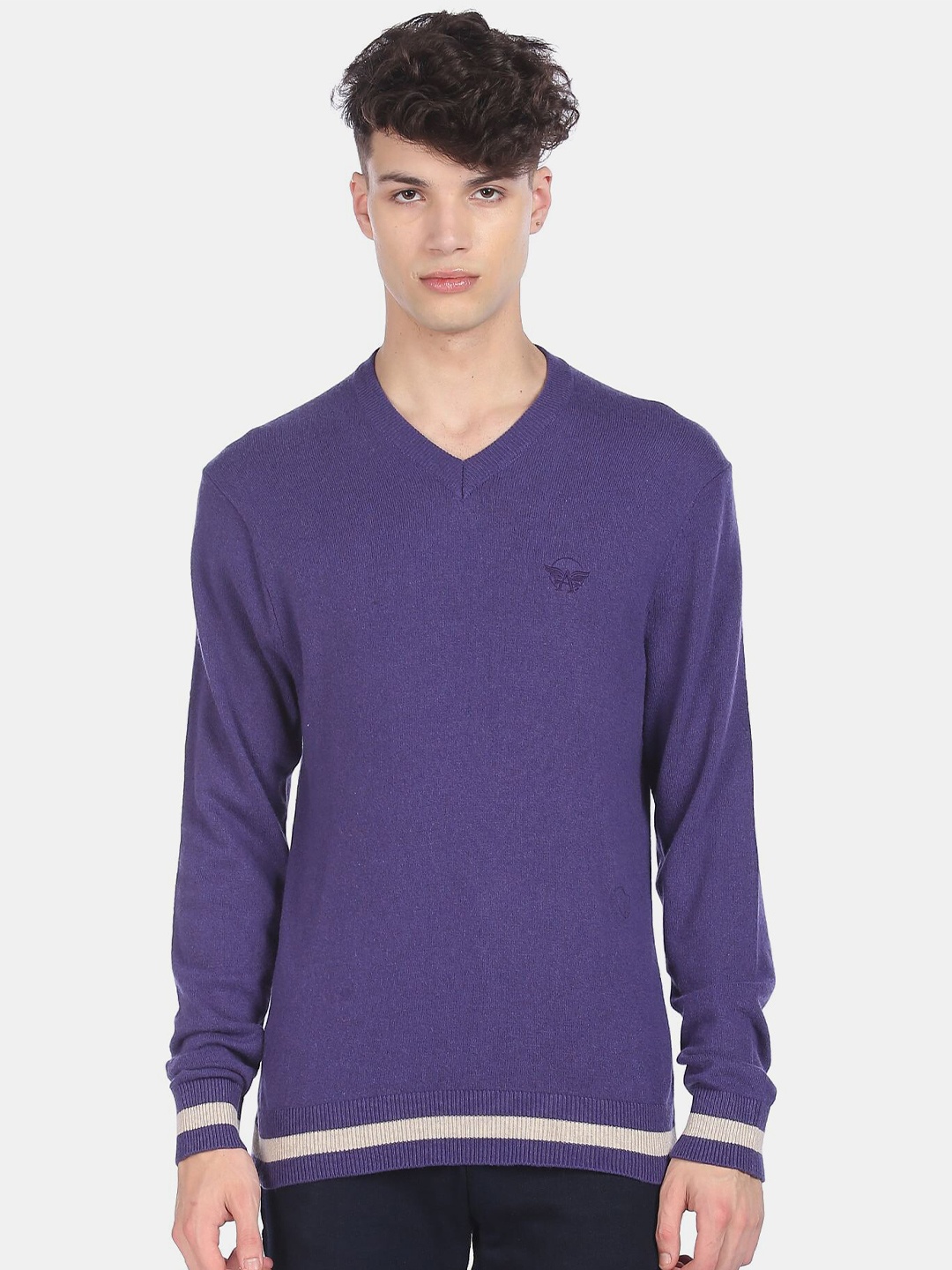 

Arrow Men Purple Sweaters