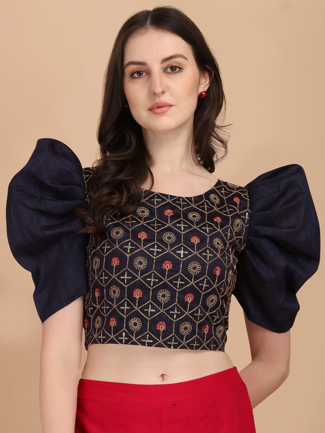 

Paralians Blue Embroidered Crop Top