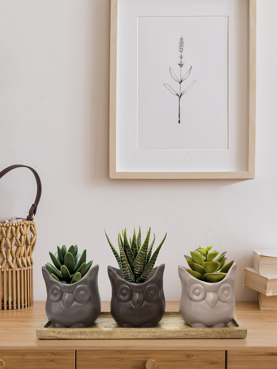 

green girgit Set of 3 Brown Owl Pots with Wooden Base