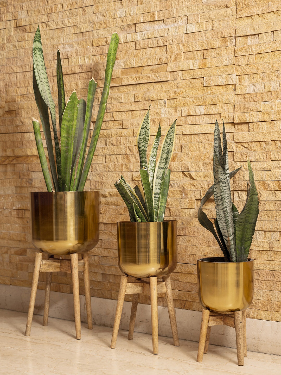 

green girgit Gold Solid Stainless Steel Planters With Wooden Stands