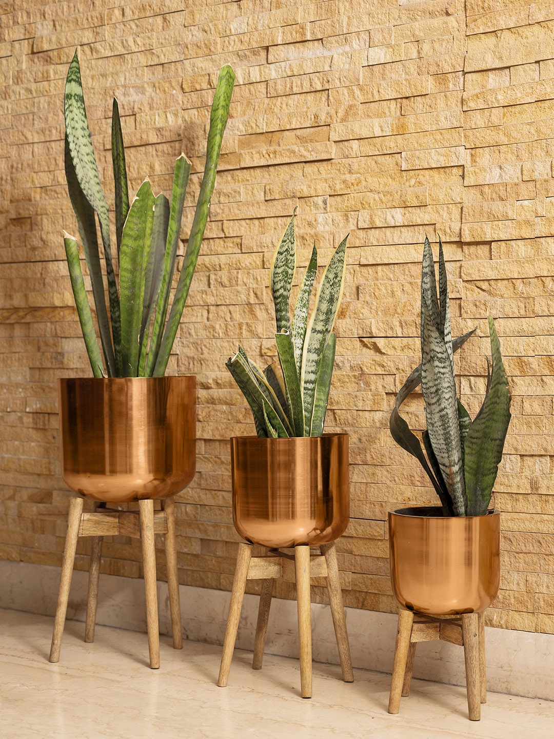 

green girgit Set of 3 Copper Planters