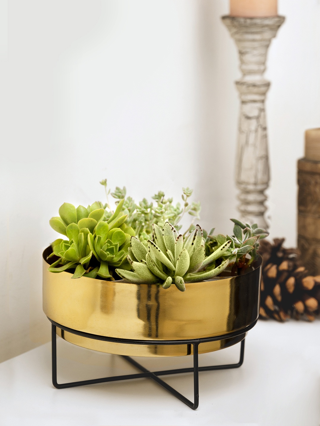 

green girgit Gold Toned & Black Metal Planter Pot With Stand
