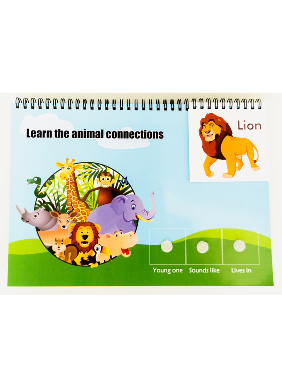 

ilearnngrow Kids Multicoloured Cognitive Skill Workbook, Multi