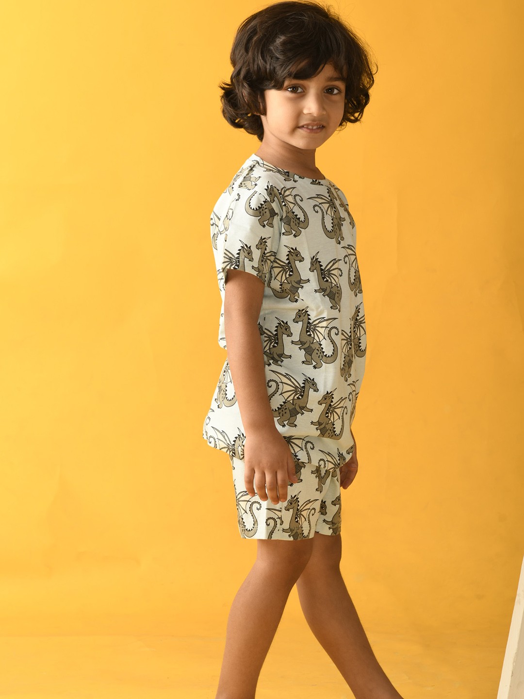 

Anthrilo Boys Blue Printed Night suit