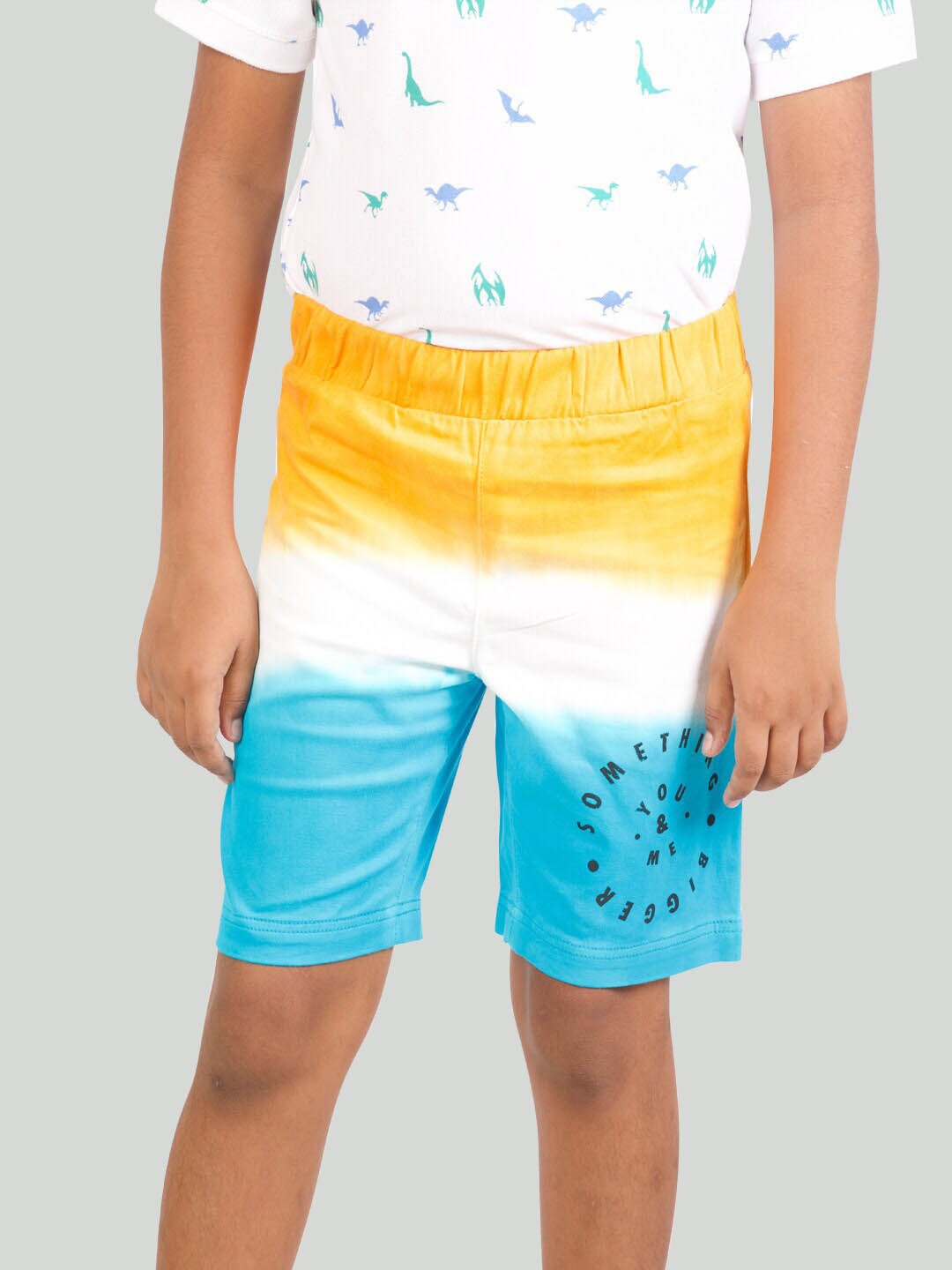

Zalio Boys Blue Colourblocked Pure Cotton Shorts