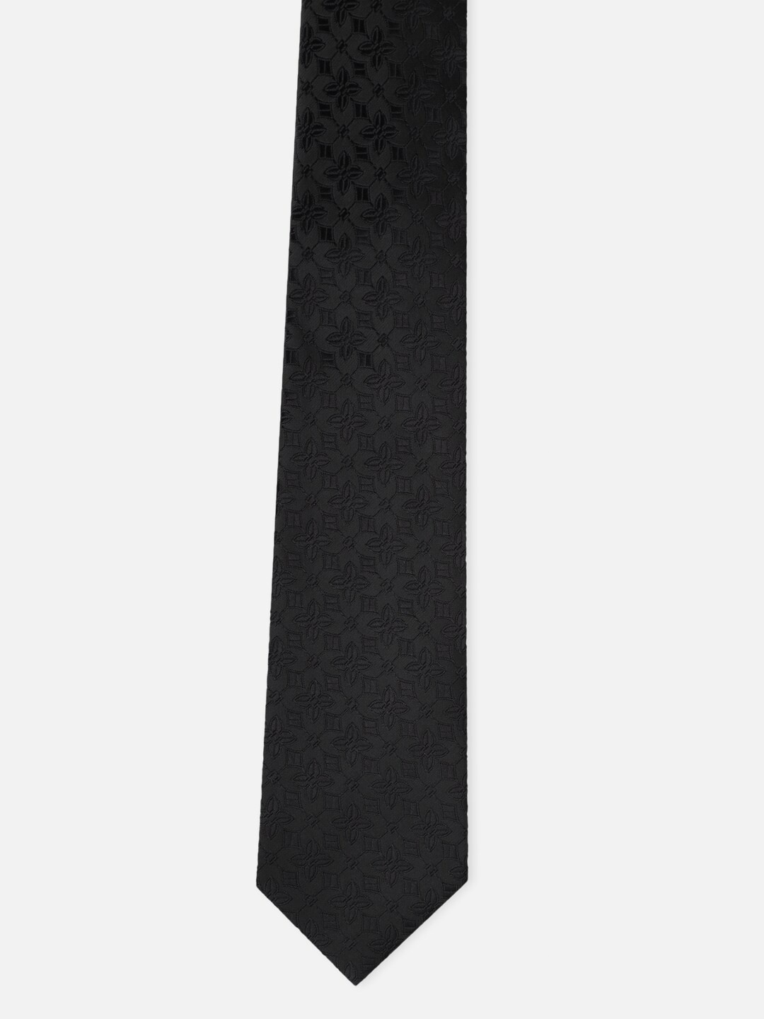 

Peter England Men Black Ties