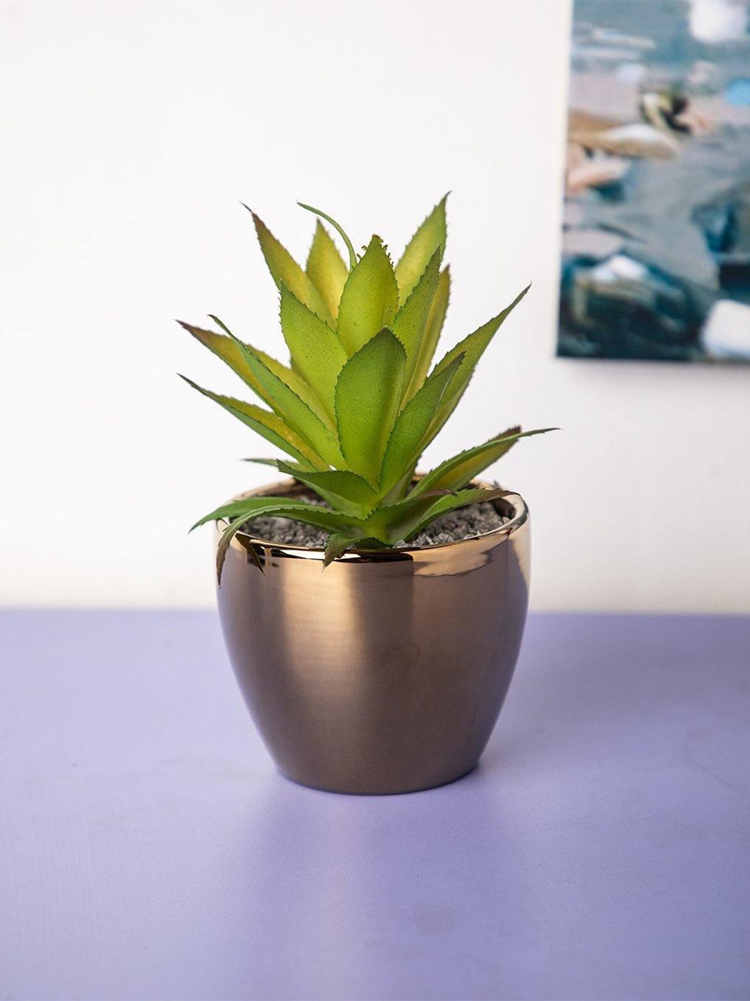 

MARKET99 1 Pcs Plastic Flower With Pot, Green
