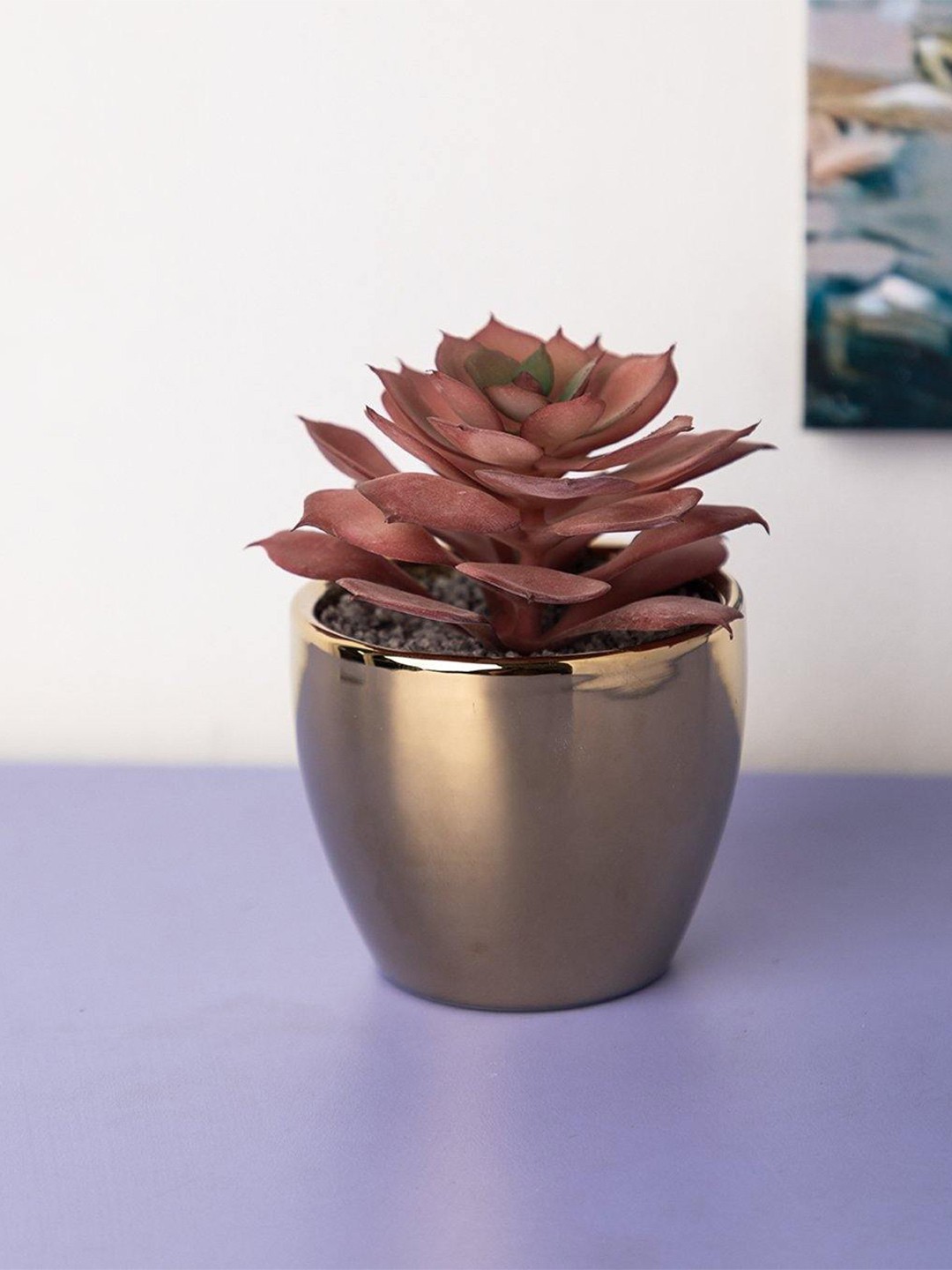 

MARKET99 1 Pcs Flower With Pot, Red