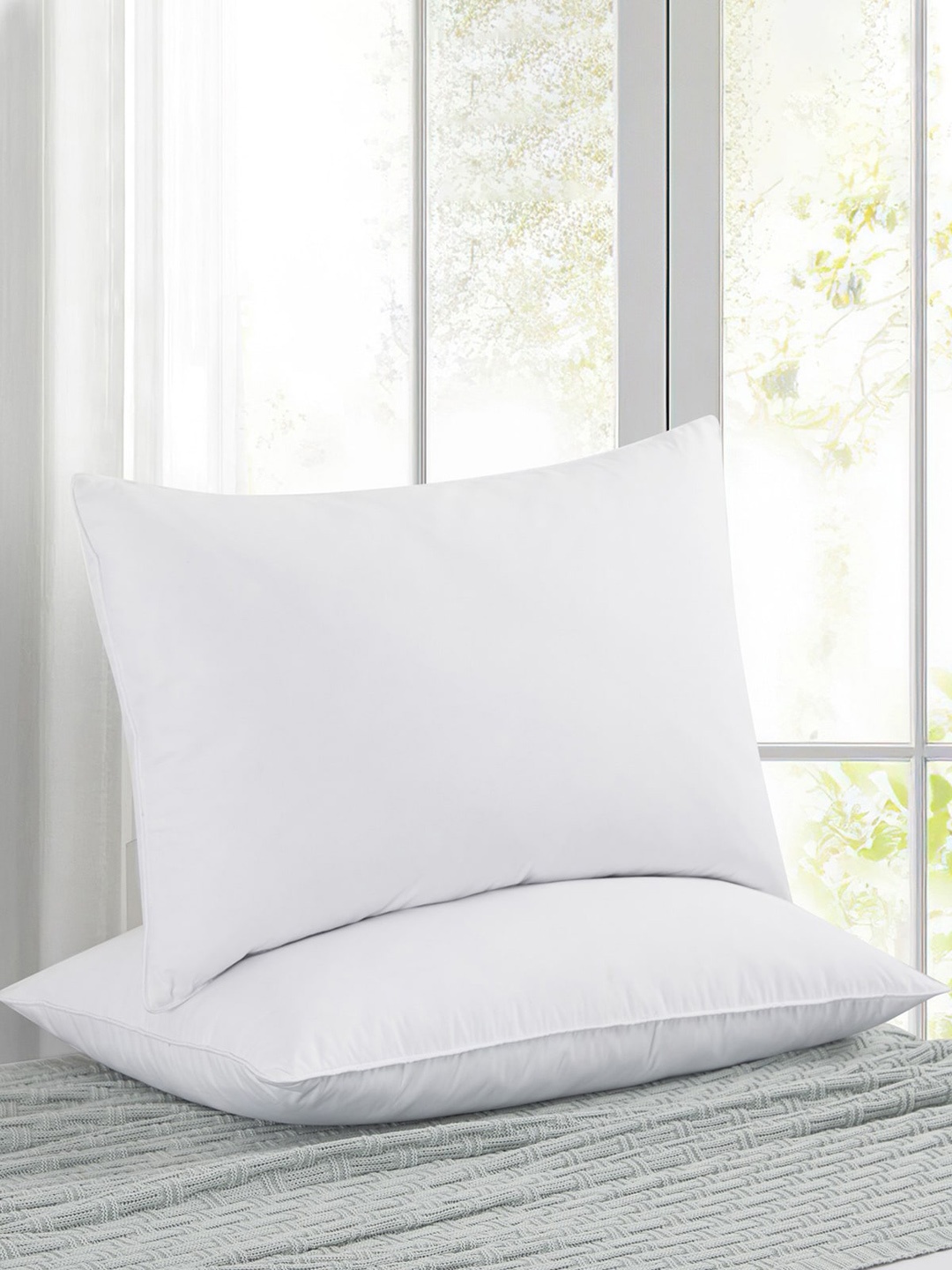 

Florida Set Of 2 White Solid Sleeping Pillows