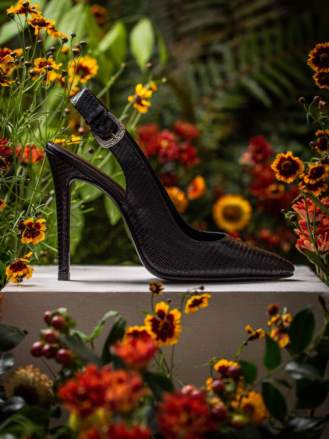 

Saint G Women Black Snake Print Leather Buckle Strap Stilettos