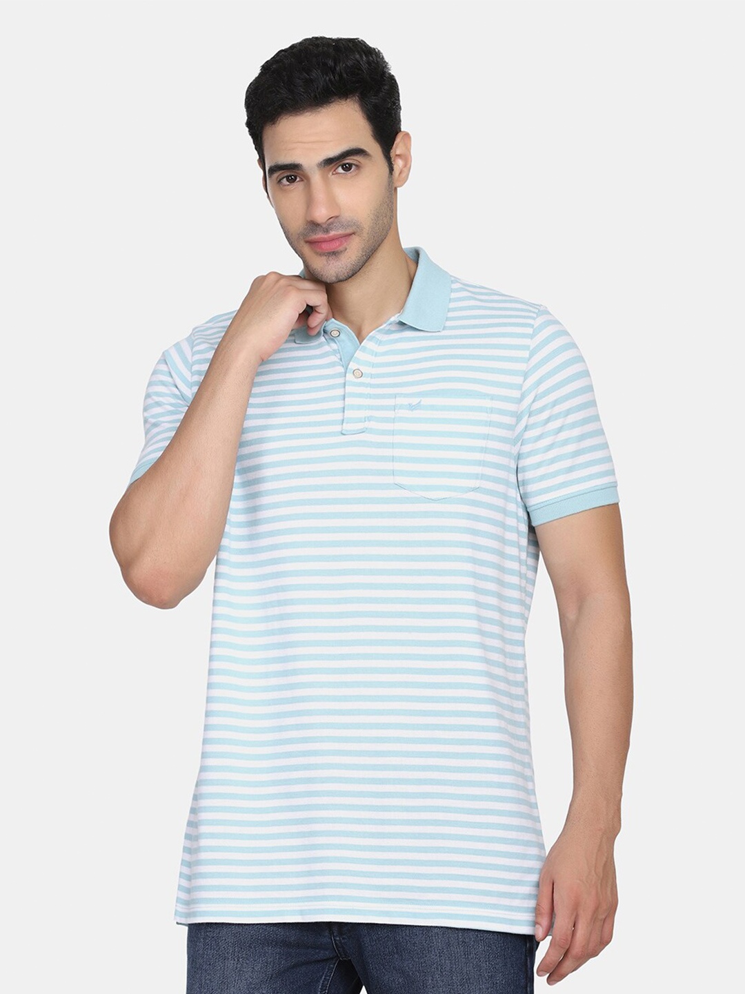 

Blackberrys Men Green Striped Polo Collar Slim Fit T-shirt