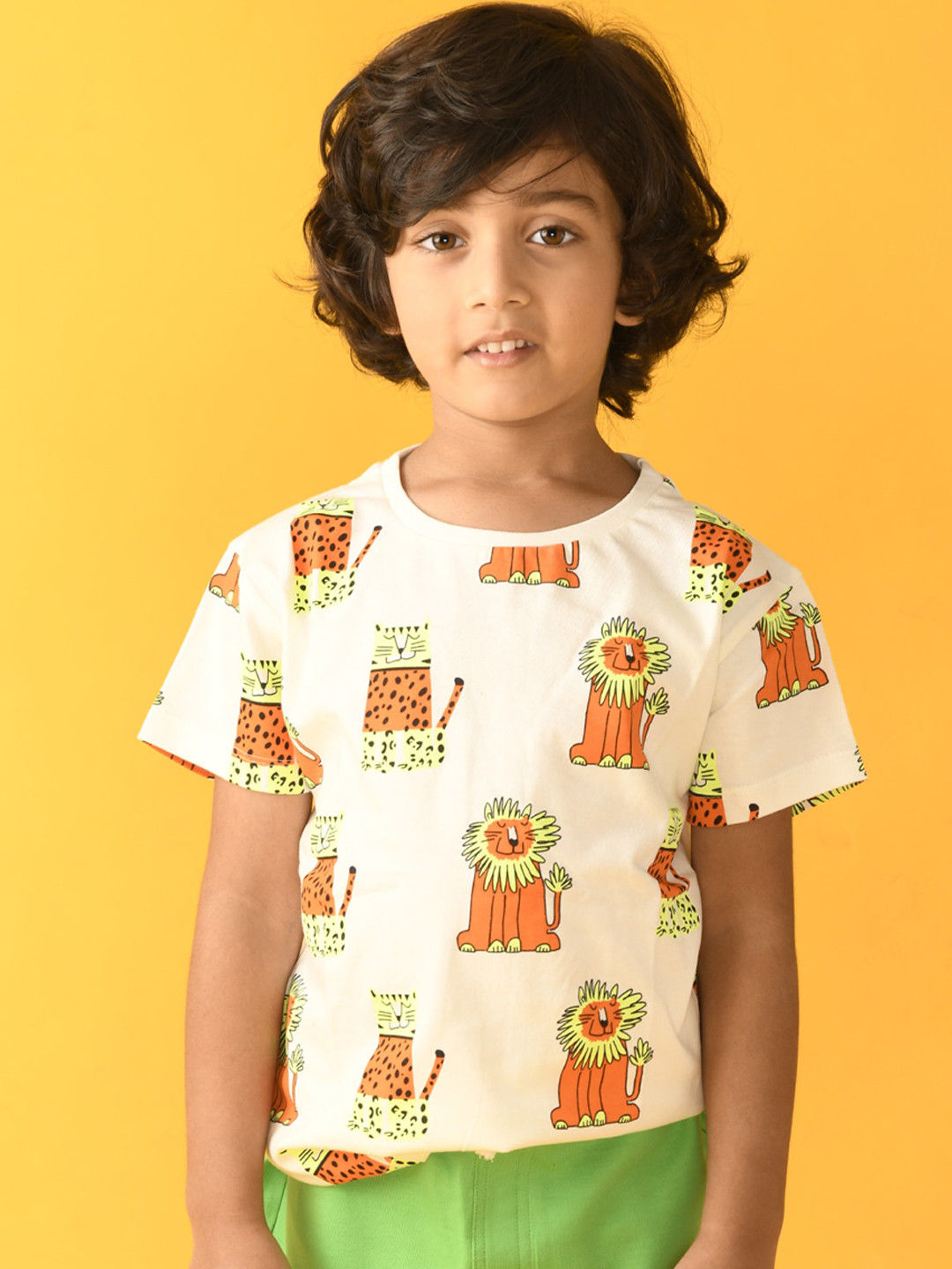 

Anthrilo Boys White & Green Printed Cotton T-shirt with Shorts