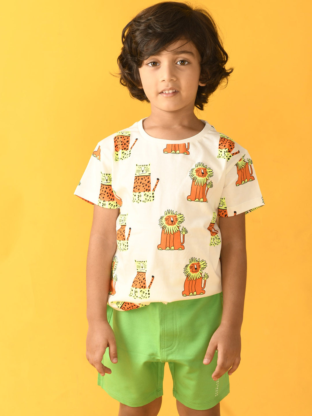 

Anthrilo Boys Cream-Coloured & Green Printed T-shirt with Shorts