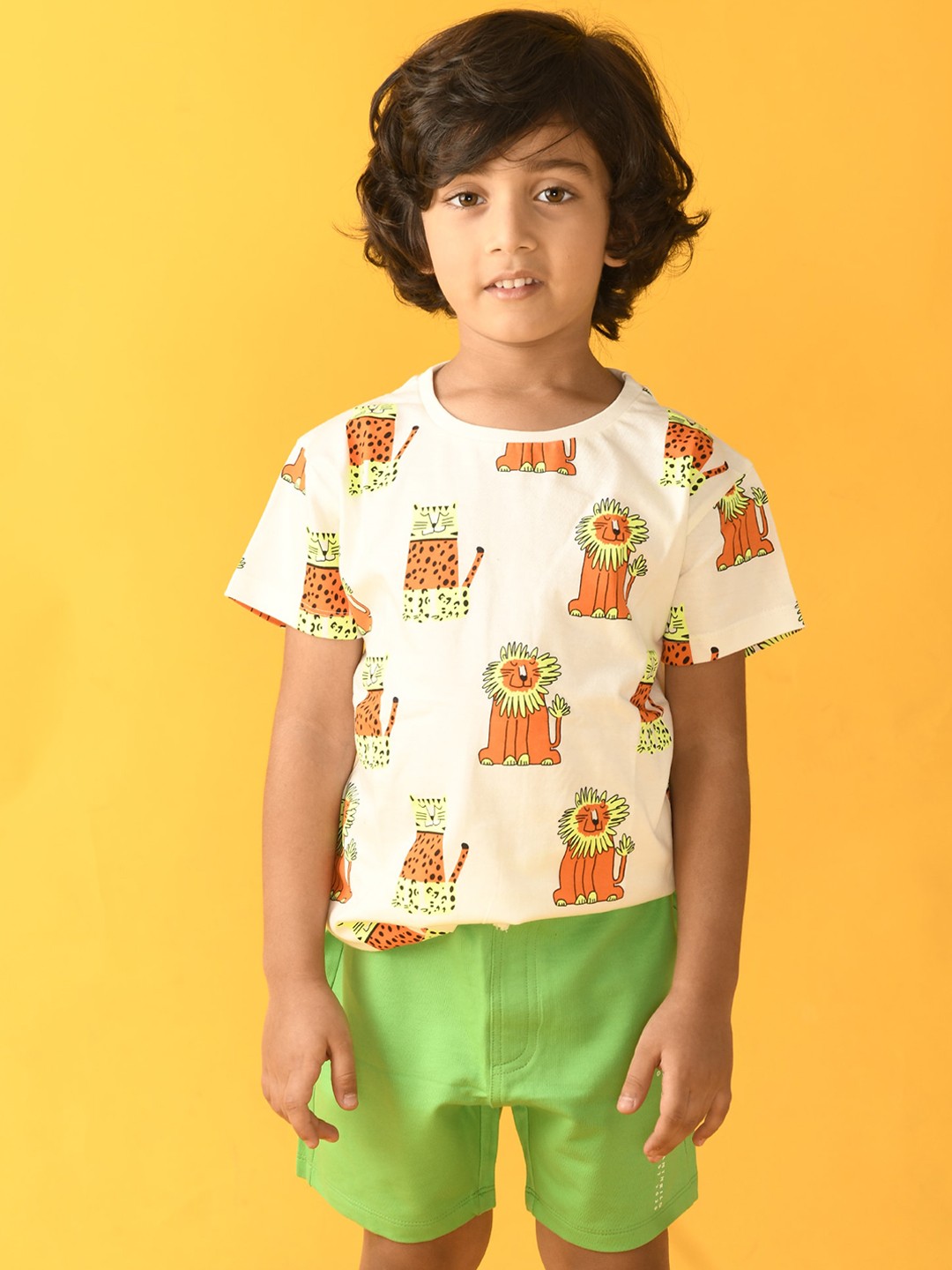 

Anthrilo Boys Cream-Coloured & Green Printed T-shirt with Shorts
