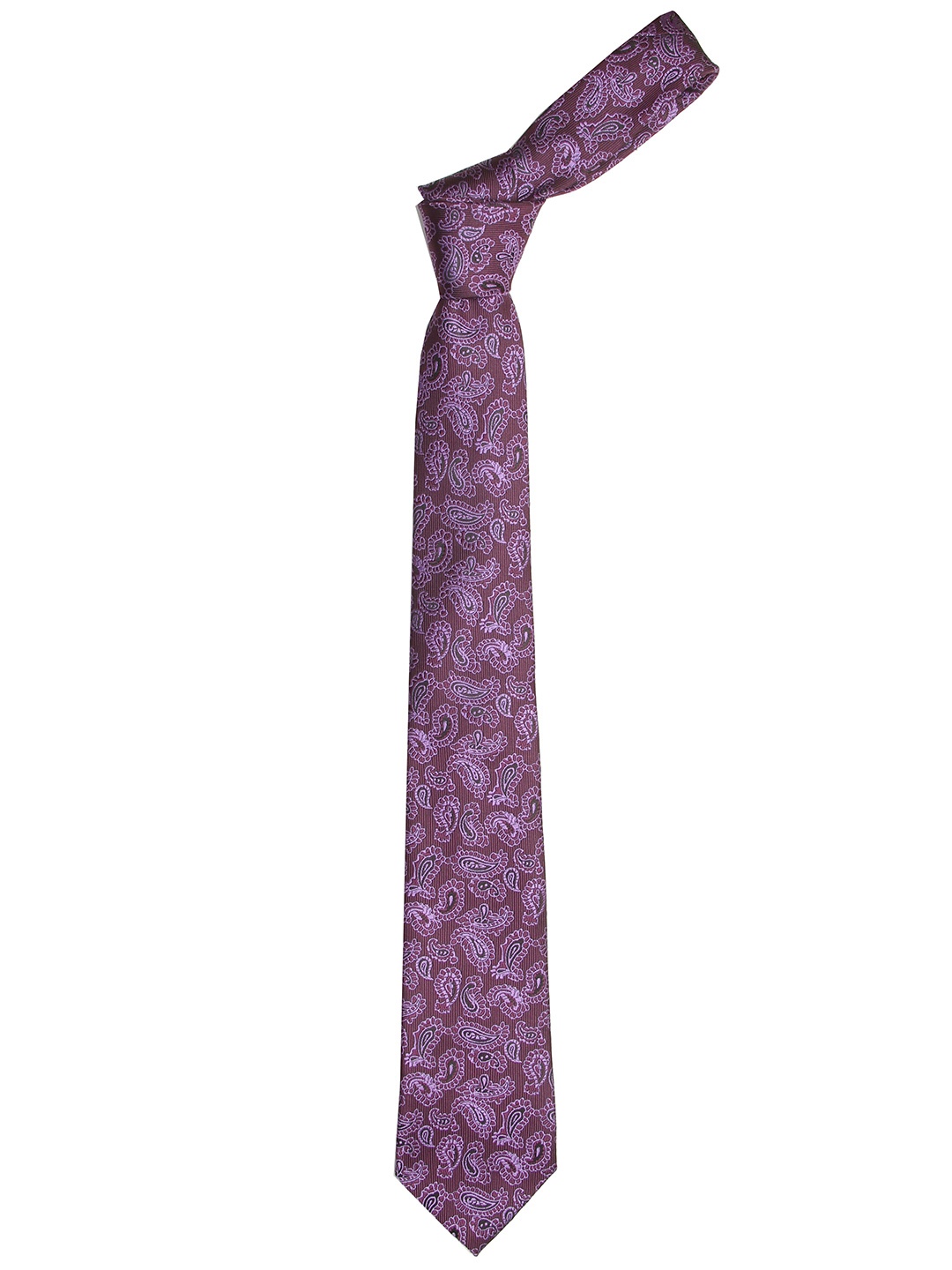 

Calvadoss Men Purple & Blue Woven Design Broad Tie