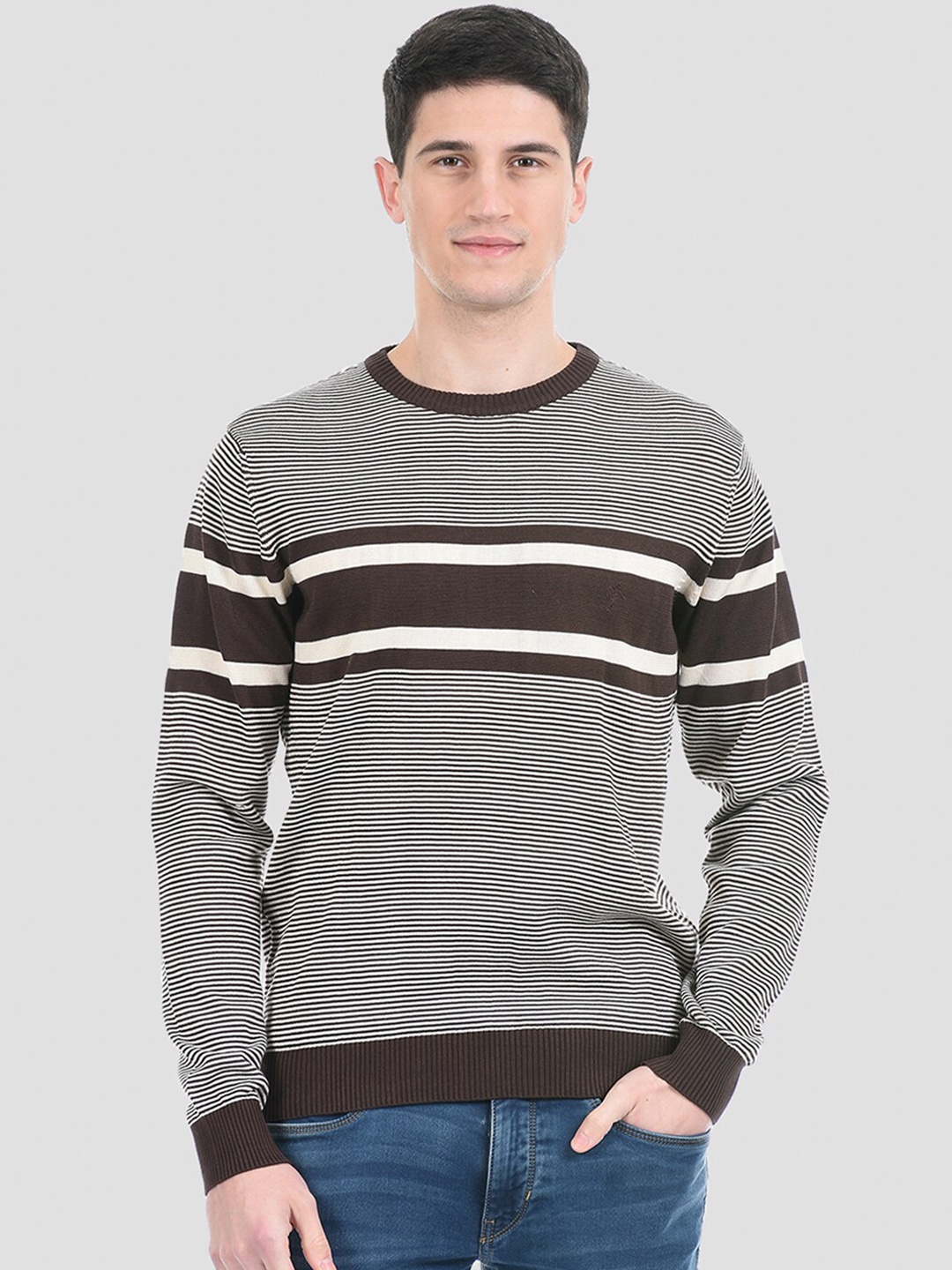 

PORTOBELLO Men Brown & White Striped Pullover