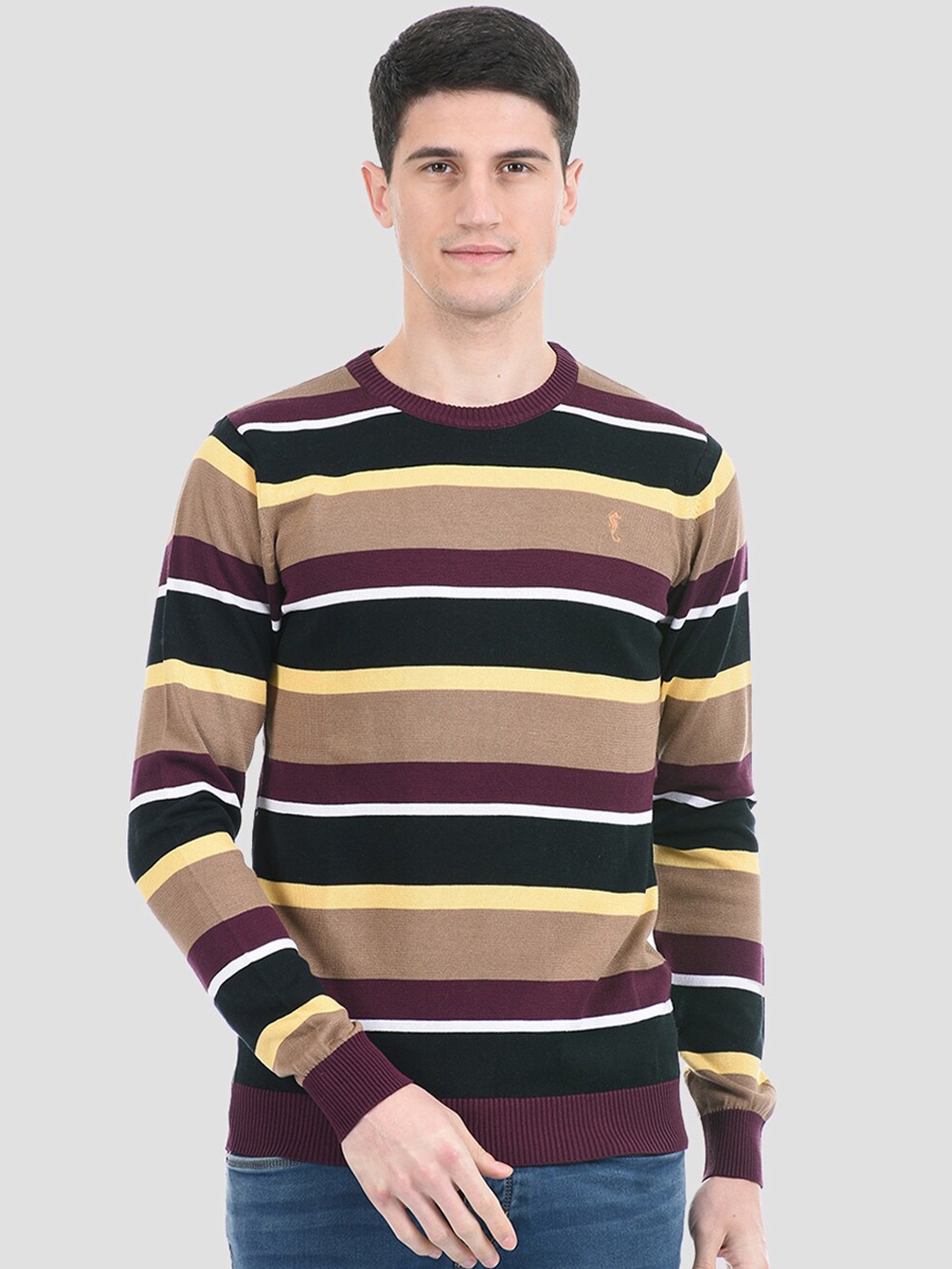 

PORTOBELLO Men Beige & Brown Striped Pullover