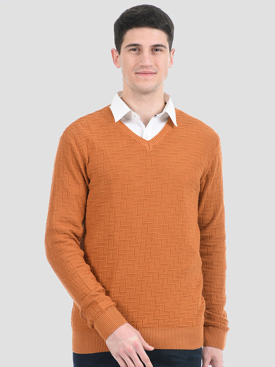 

PORTOBELLO Men Brown Self Design Pullover