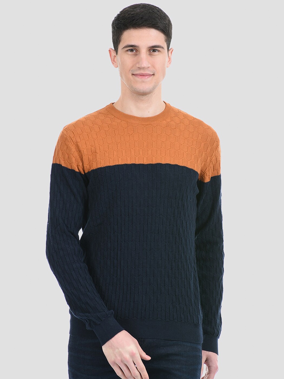 

PORTOBELLO Men Blue & Brown Colourblocked Pullover