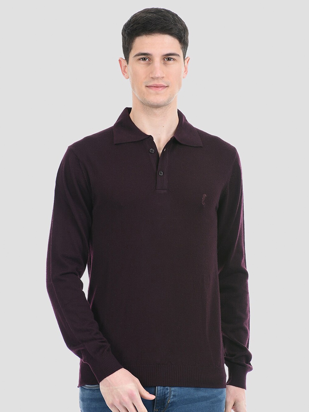 

PORTOBELLO Men Purple Solid Slip On Pullover
